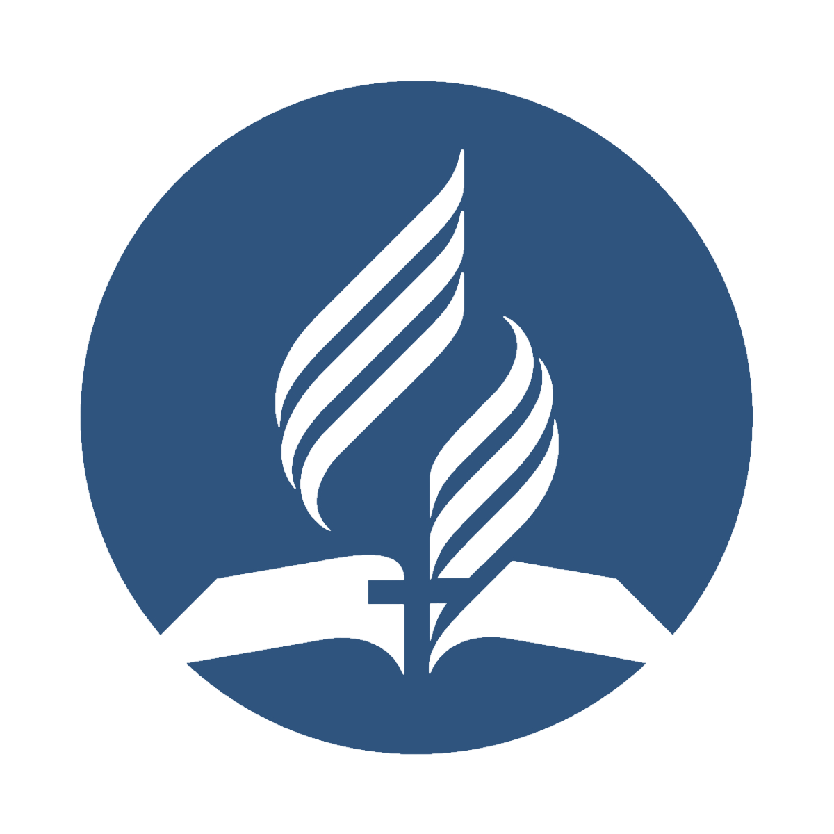 ASSOCIAÇÃO SUL DO PARÁ logo