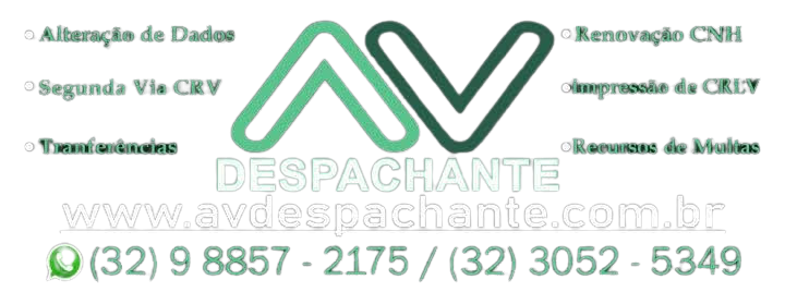 AV DESPACHANTE logo