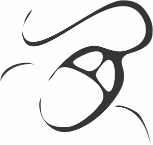 Cayres Informática Cayres Informática logo