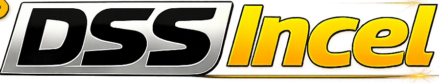 DSS Incell Assistência Técnica logo