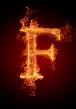 Lages figueiroa Ltda Lages figueiroa Ltda logo
