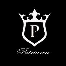 PATRIARCA CONSULTORIAS logo