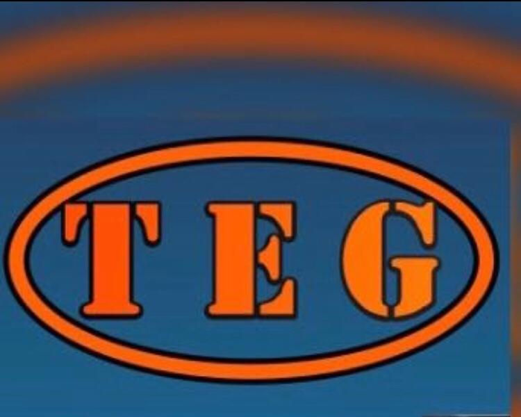 T & G COMERCIO T & G COMERCIO logo